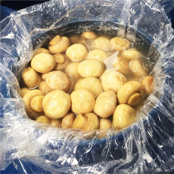 Champignon Agaricus Bisporus ve slaném nálevu