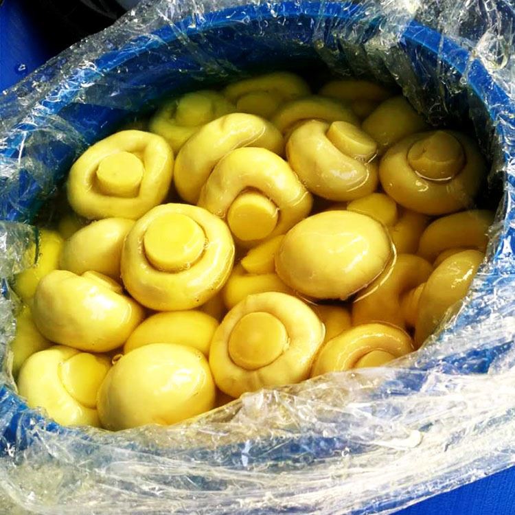 Whole Mushroom Agaricus In Conserve